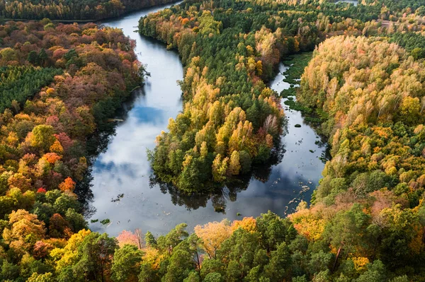 Impressionante Rio Floresta Outono Vista Aérea Vida Selvagem Natureza Polonia — Fotografia de Stock