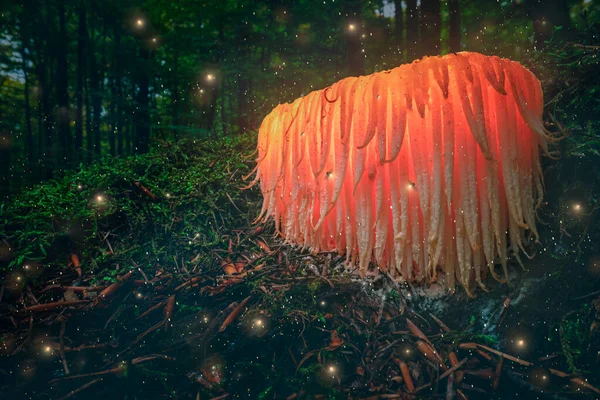Glowing Orange Mushroom Moss Fireflies Dark Forest Glowing Mushroom Dark — Stock Photo, Image