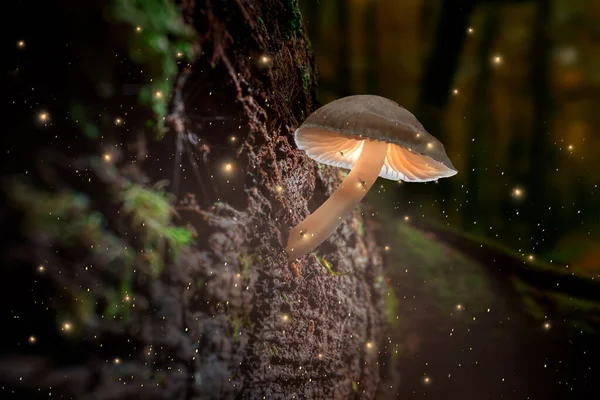 Champiñones Brillantes Corteza Con Luciérnagas Bosque Oscuro Lámparas Setas Bosque — Foto de Stock