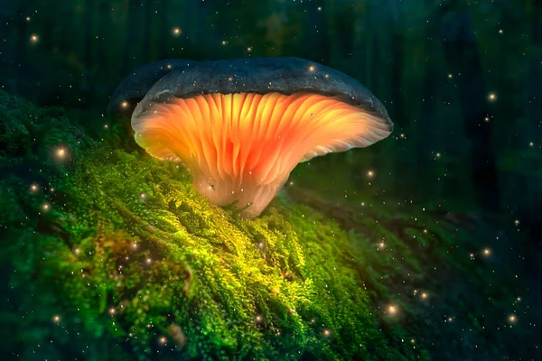 Magical Forest Glowing Mushrooms Fireflies Dark Forest Mushroom Lamps Dark — Stock Photo, Image