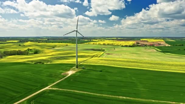 Campos de violación amarillos y verdes con turbina eólica. Polonia agricultura. — Vídeos de Stock
