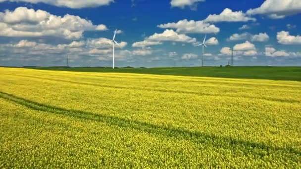 Kwitnące rapujące kwiaty i turbina wiatrowa. Polska rolnictwo. — Wideo stockowe