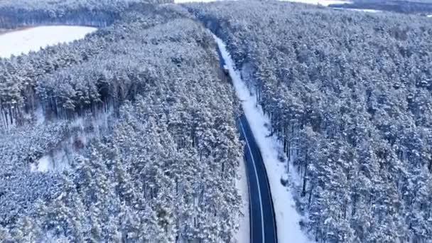 Transporte en invierno. Camino de asfalto que conduce a través del bosque. — Vídeo de stock