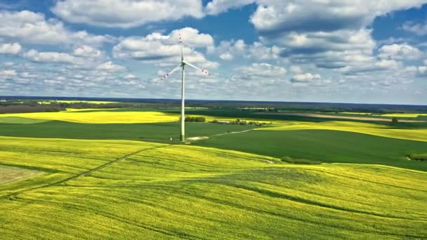 Splendidi campi di colza gialla e turbina eolica. Polonia agricoltura. — Video Stock