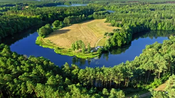 Groen bos en kronkelende rivier bij zonsopgang, Polen, luchtfoto — Stockvideo
