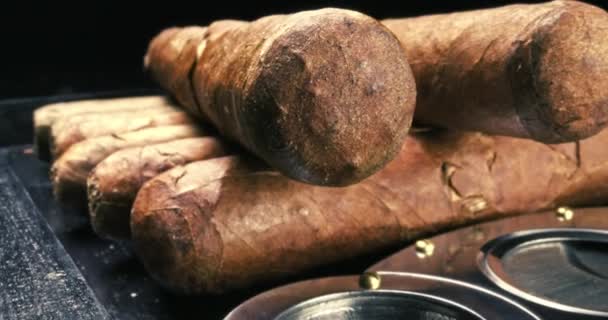 在腐肉中的雪茄。昂贵的雪茄、腐肉和刀具. — 图库视频影像