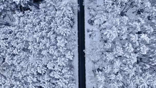 Camino de asfalto y bosque nevado en invierno. Transporte en invierno. — Vídeos de Stock