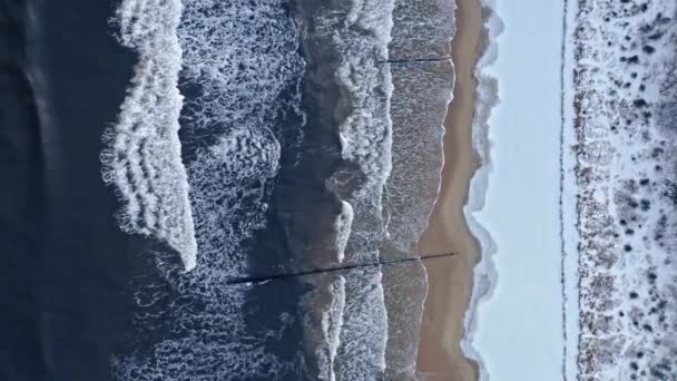 Zimne Morze Bałtyckie i śnieżna plaża zimą. — Wideo stockowe