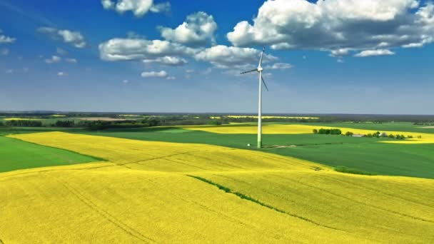 Ohromující žlutá řepková pole a větrná turbína na venkově. — Stock video