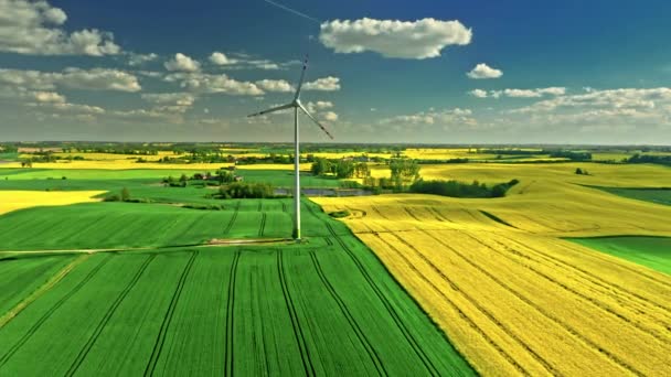 Úžasná větrná turbína a pole řepkového semene. Polsko zemědělství. — Stock video