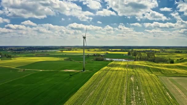 Impressionante campos de estupro amarelo e turbina eólica. Polónia agricultura. — Vídeo de Stock