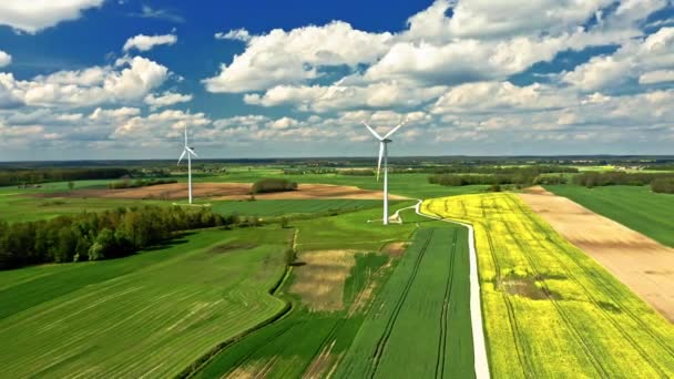 Stunning blooming raps flowers and wind turbine in countryside. — Stock Video