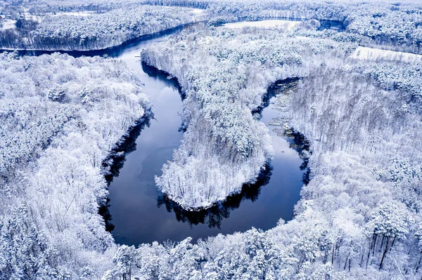 Río Sinuoso Bosque Nevado Invierno Vista Aérea Vida Silvestre Polonia —  Fotos de Stock