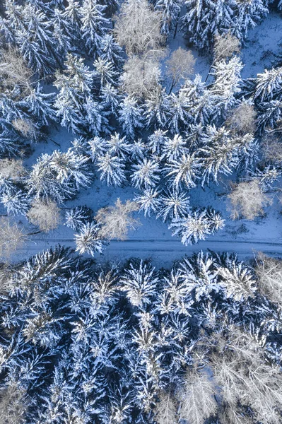 Transport Winter Straße Verschneiten Wald Luftaufnahme Der Tierwelt Polen — Stockfoto