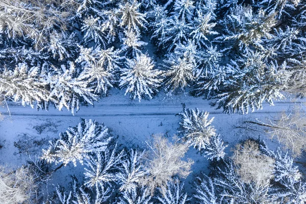 乡间小路在雪地的森林里 冬季运输 波兰自然的空中观点 — 图库照片