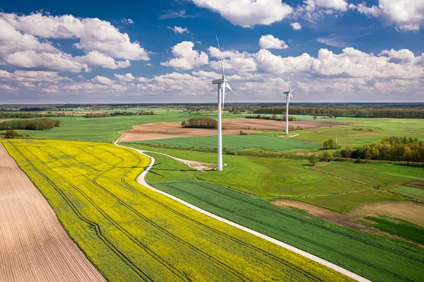 Csodálatos Sárga Repcemezők Szélturbinák Lengyelország Mezőgazdaság Természet Légi Kilátása Tavasszal — Stock Fotó