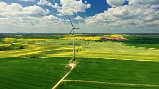 Impresionantes campos de violación amarillos y turbina eólica. Polonia agricultura. — Vídeos de Stock