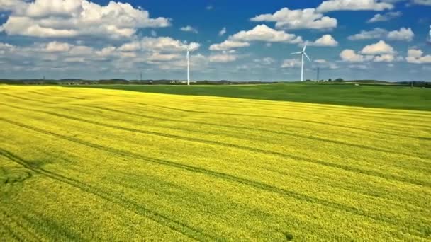 Impressionante florescendo raps flores e turbina eólica. Polónia agricultura. — Vídeo de Stock