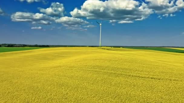 Impresionantes campos de violación amarillos y turbina eólica en el campo. — Vídeos de Stock