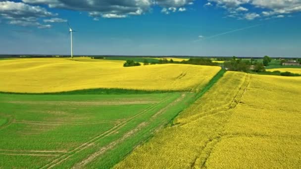 Impressionante campos de estupro amarelo e turbina eólica no campo. — Vídeo de Stock