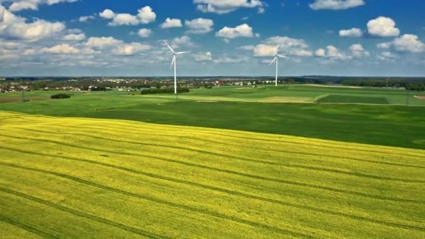 Campos de colza amarelos incríveis e turbina eólica. Polónia agricultura. — Vídeo de Stock
