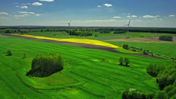 Úžasná větrná turbína a pole řepkového semene na venkově. — Stock video