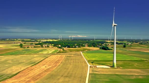 Éolienne sur le champ avant la récolte. L'agriculture en Pologne. — Video