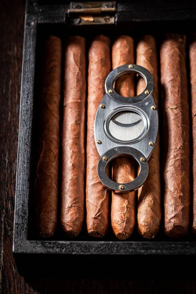 Dyr Och Handgjord Cigarr Humidor Med Metallskärare Cigarrer Staplade Trähumidor — Stockfoto