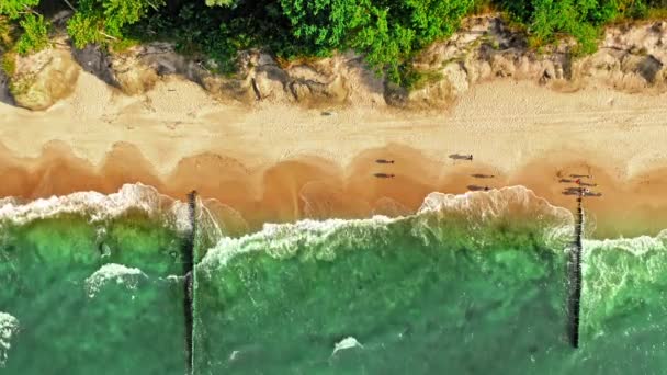 Widok z powietrza na plażę w Morzu Bałtyckim w lecie — Wideo stockowe