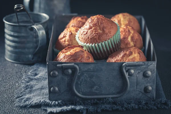 Söt Och Välsmakande Yoghurt Cupcake Som Ett Litet Sött Mellanmål — Stockfoto