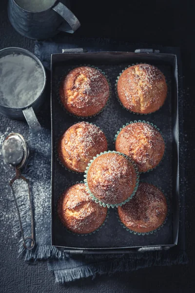 砂糖入りの甘く熱いヨーグルトカップケーキ 粉末砂糖と自家製黄金のマフィン — ストック写真