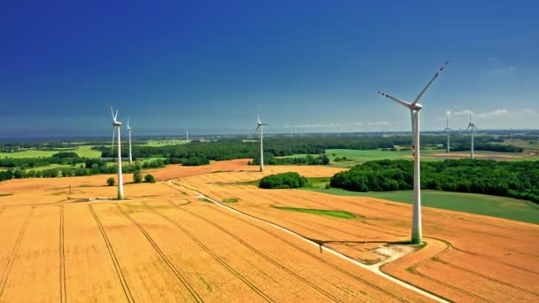 Turbinas eólicas e campo dourado de verão. Vista aérea da agricultura. — Vídeo de Stock