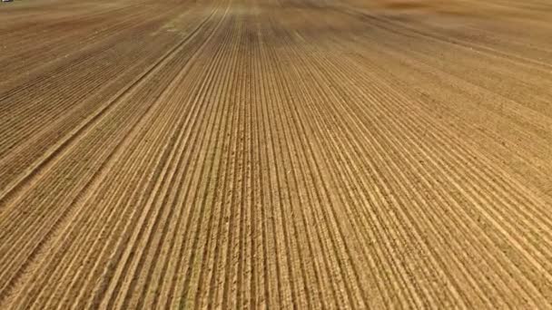 Ladang dibajak di musim gugur. Pemandangan udara pertanian di Polandia — Stok Video