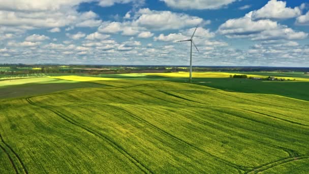 Våldtäktsfält och vindkraftverk. Jordbruk i Polen. — Stockvideo