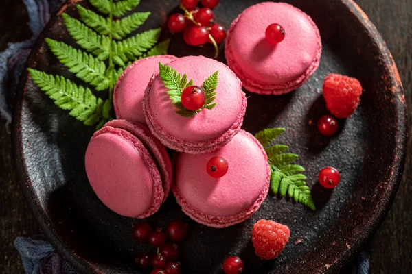Delicious Fresh Red Currant Macaroons Fern Dark Plate Red Macaroons — Stock Photo, Image