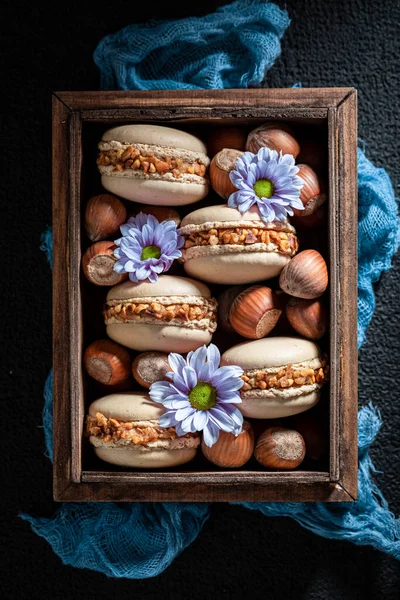 Tasty Sweet Nuts Macaroons Crunchy Dessert Brown Macaroons Made Walnut — Stock Photo, Image