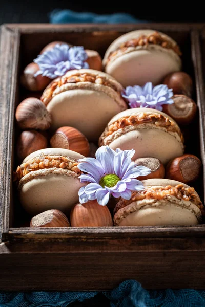 Homemade Sweet Nuts Macaroons Crunchy Dessert Brown Macaroons Made Walnut — Stock Photo, Image