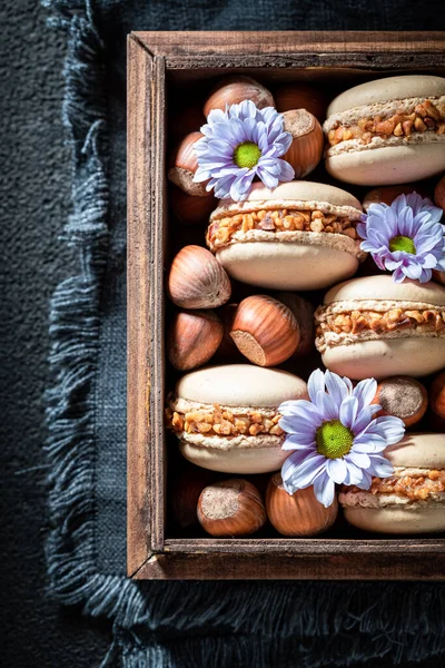 Tasty Sweet Nuts Macaroons Made Hazelnuts Walnut Sweet Macaroons Made — Stock Photo, Image