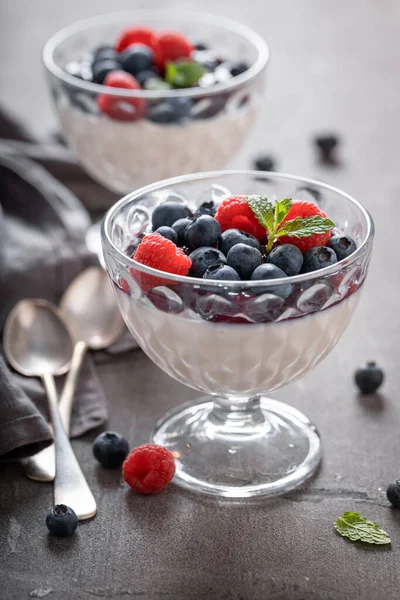 Tasty Fresh Panna Cotta Jam Raw Berries Panna Cotta Italian — Foto de Stock