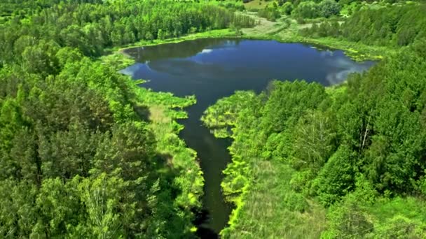 Lac dans la forêt en été. Vue aérienne de la Pologne — Video