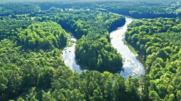 Groen bos en kronkelende rivier bij zonsopgang, Polen, luchtfoto — Stockvideo