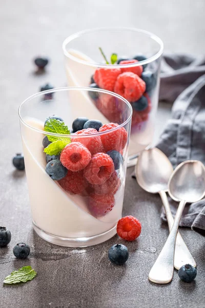 Lezzetli Yapımı Panna Cotta Talyan Klasik Tatlısıdır Panna Cotta Süt — Stok fotoğraf