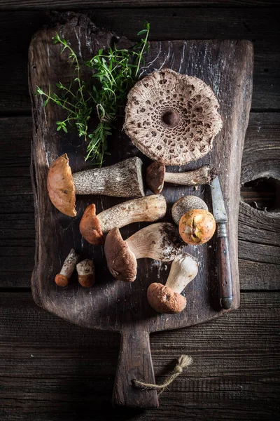 Vari Funghi Selvatici Erbe Sulla Vecchia Tavola Funghi Selvatici Appena — Foto Stock