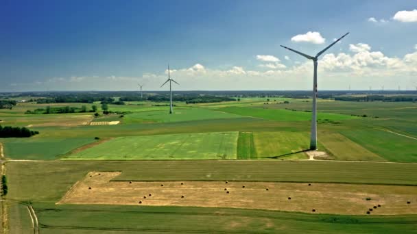 Turbina wiatrowa na polu przed zbiorami. Rolnictwo w Polsce. — Wideo stockowe