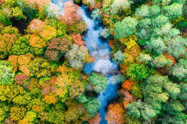 Vista Dall Alto Del Fiume Della Foresta Autunno Vista Aerea — Foto Stock