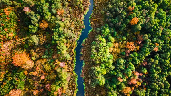 Bagna Las Rzeka Zachodzie Słońca Jesienią Widok Lotu Ptaka Polskę — Zdjęcie stockowe