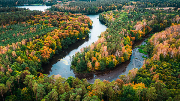 Colorful Autumn Forest Turning River Aerial View Poland Europe Stock Image
