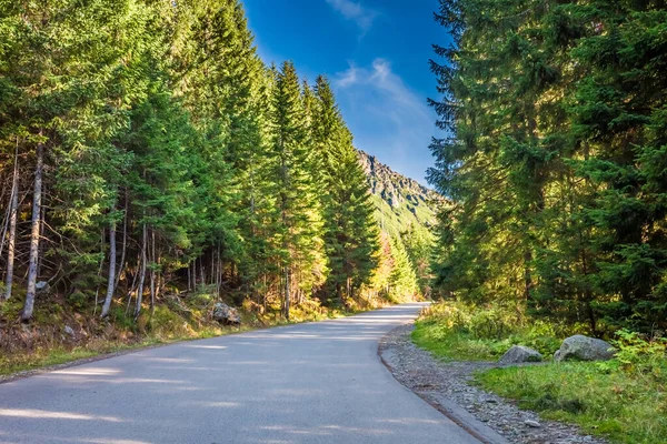 Road Tatras Mountains Autumn Nature Poland Europe — Stock Photo, Image