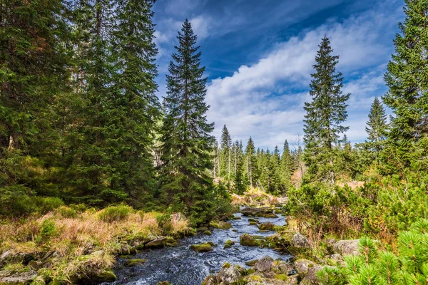 Rio Nas Montanhas Tatra Outono Vida Selvagem Polónia Europa — Fotografia de Stock
