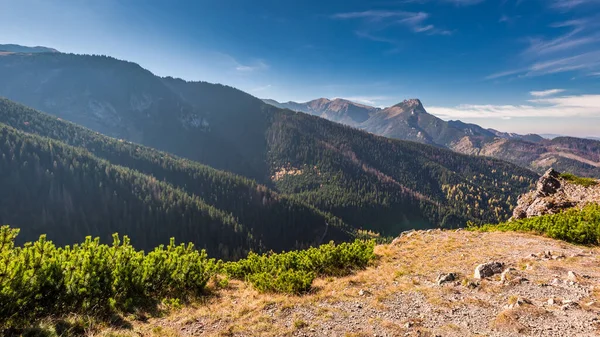 Tatrabergen Hösten Vid Solnedgången Djurliv Polen Europa — Stockfoto